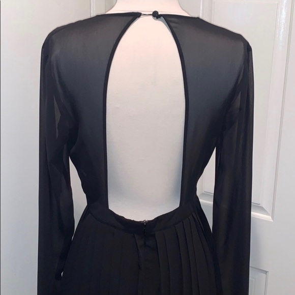NBD Pleated Sheer Dress - Picture 5 of 8